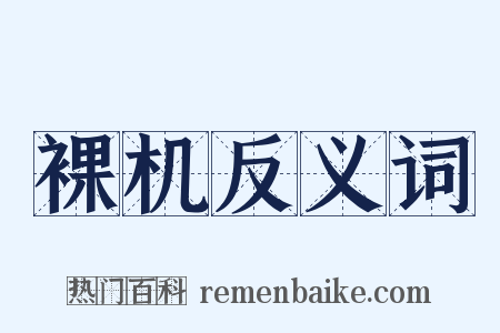 裸机反义词是什么意思的图片
